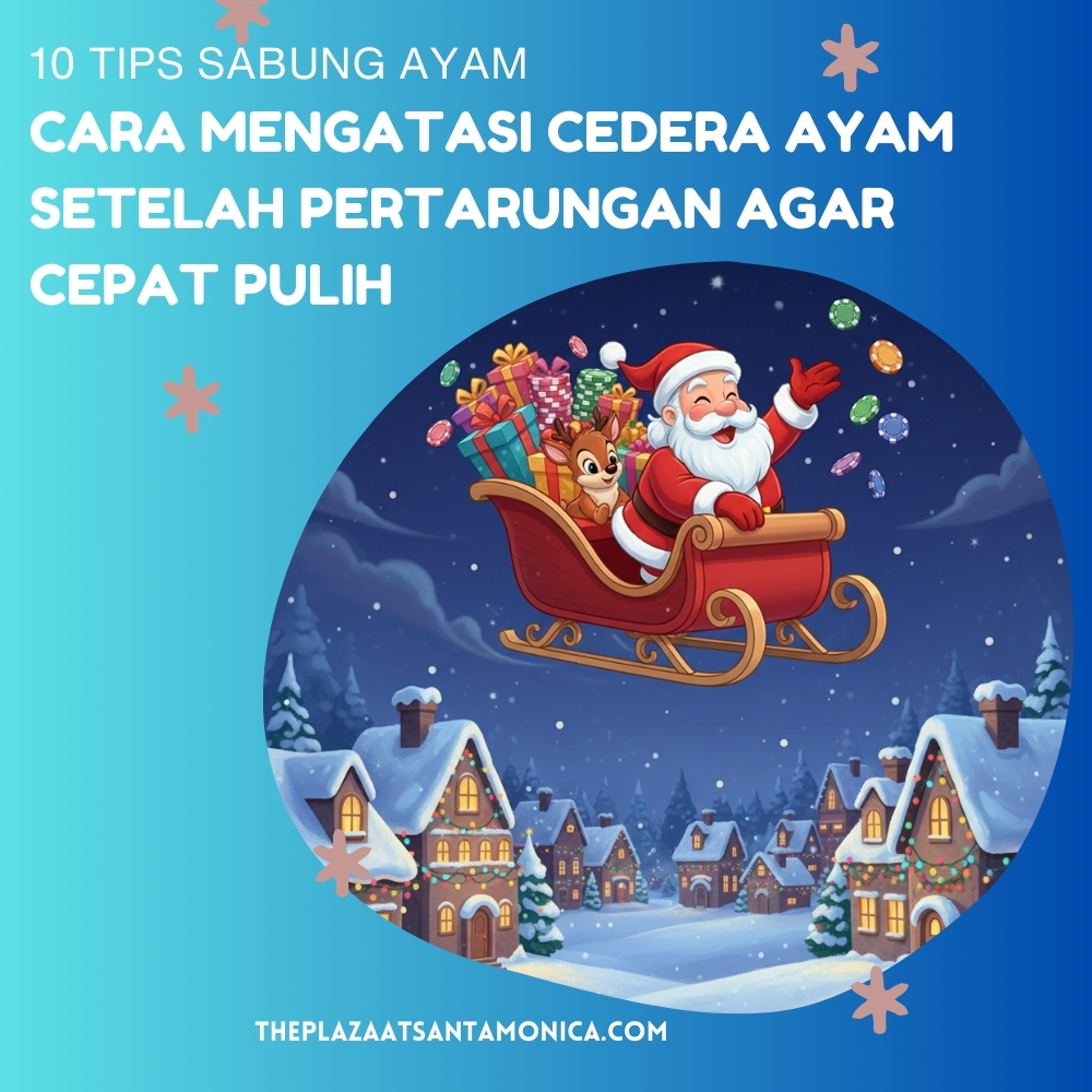 10 Tips Sabung Ayam: Cara Mengatasi Cedera Ayam Setelah Pertarungan Agar Cepat Pulih